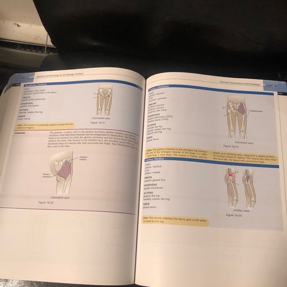 Massage Therapy: Principles and Practice by Susan Salvo Second Edition - Picture 12 of 14